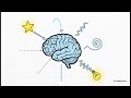 Rewiring the Brain
