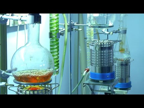 15 იანვარს, 12:45 საათზე - \"ფერმა\"