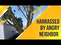 Harassed by angry neighbor demanding tree removal