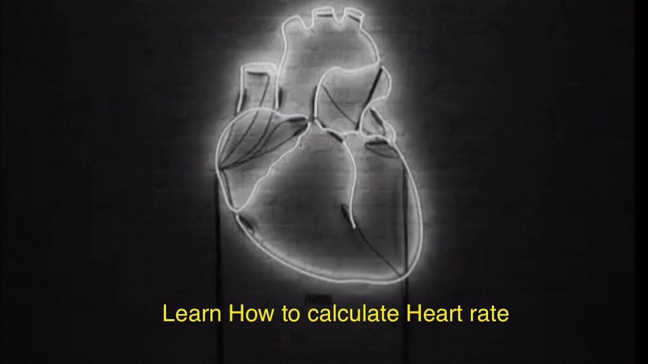 Learn ECG from basics to complex : session 3 - RATE - YouTube