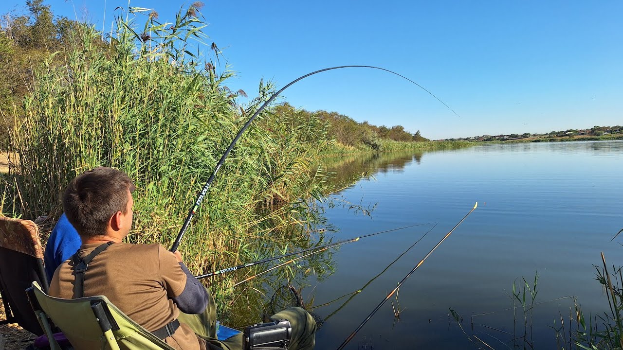 З дідусем на риболовлю. Рибачим на поплавочні вудки. Ловим карася та плітку. Рибалка 2025