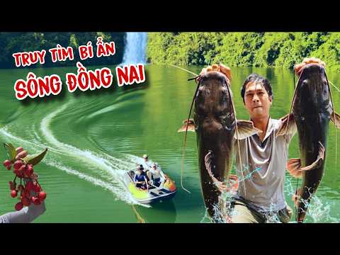 Searching for the Mysteries of the Dong Nai River | 5 Days Hunting the River Monster of the Dong ...