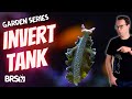 A unique jam packed invertebrate reef tank