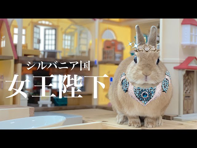 かわいいウサギ シルバニア王国を手にしたウサギ #933 - YouTube