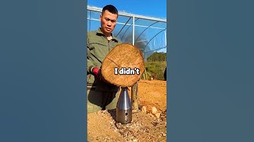 My girlfriend told me she was at a fashion show she was never invited to.