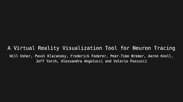 A Virtual Reality Visualization Tool for Neuron Tracing: Overview of the Tool and Study