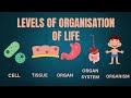 Levels of Organization of Life Quiz
