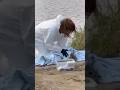Rescatan a cría de foca que llevaba semanas perdida en Bélgica