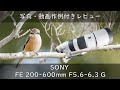 野鳥撮影作例、サンプルあり SONY FE 200-600mm F5.6-6.3 G 【SEL200600G】 レビュー