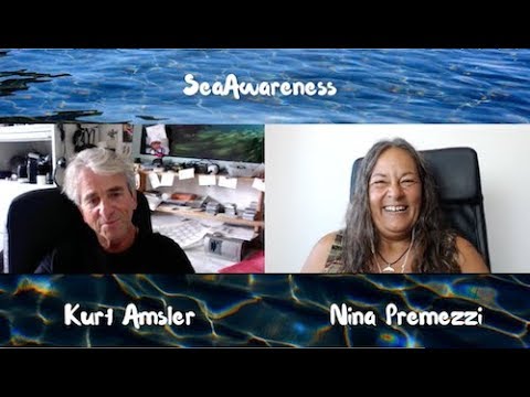 SeaAwareness Kurt Amsler