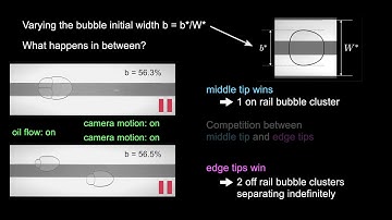 Life and fate of a bubble in a constricted Hele-Shaw channel