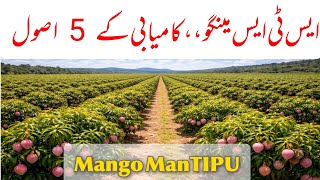  Top 5 Things to Remember for Mango Small Tree System (STS)