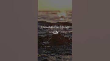 سورة الانبياء | ياسر الدوسري | القران الكريم راحة للعالمين #quran #قران_كريم #المصحف #اسلاميات #قران