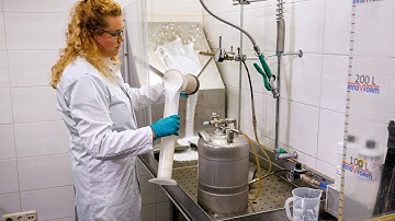 InnoVfoam - Video report: PFAS-free foam concentrate. How can you make the switch?