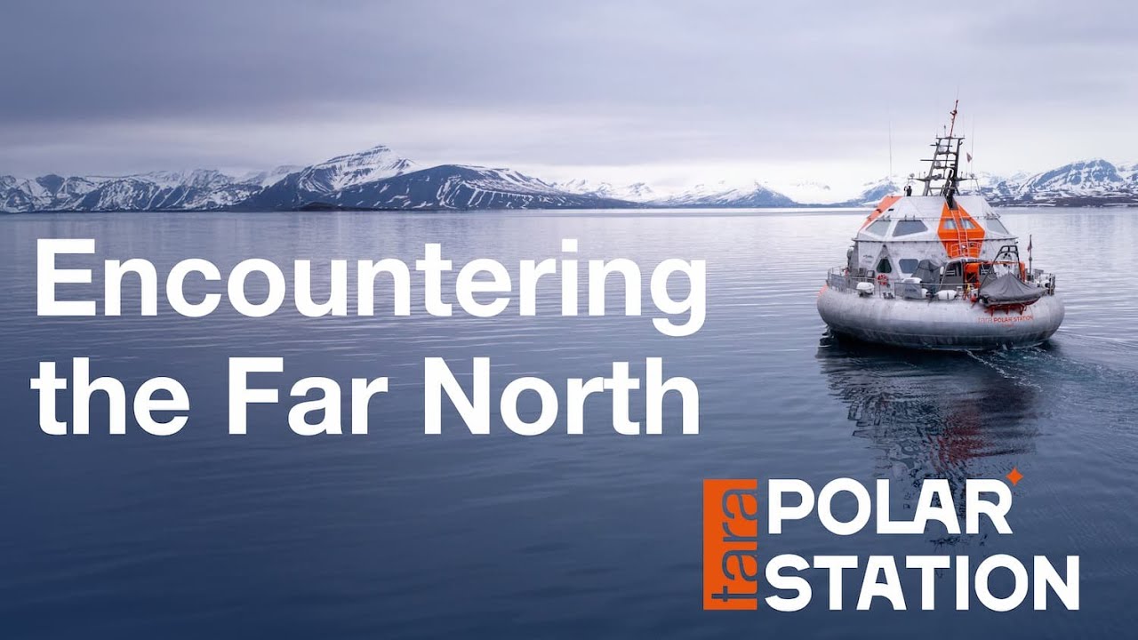 10 tonnes of food for 9 months of expedition - Episode 1 - Drift Test Tara Polar Station