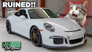 How a cat destroyed my GT3… by VINwiki 75,089 views 1 month ago 10 minutes, 23 seconds