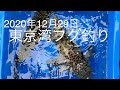 東京湾フグ釣り 2020年12月29日 の動画、YouTube動画。