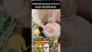 5000 IP Mycorrhiza | किसान खुद बनाए !#shorts#viral #trending