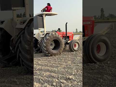sultan🚜#tendingsong #tochanking #tks