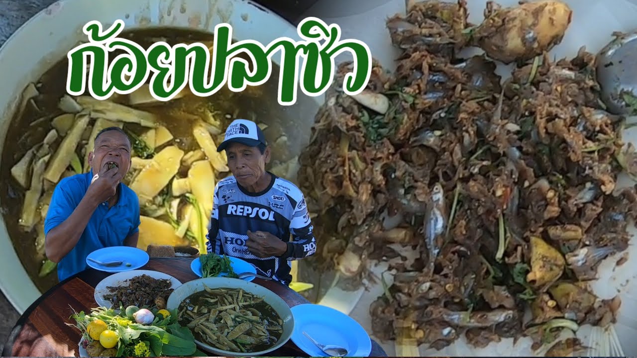 ก้อยปลาซิวใส่บักกอก น่ำลายแตกพากๆ ผ่าน้ำยาคุ้ยคำใหญ่ๆแซบสุดๆ