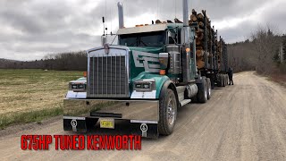 2020 Kenworth W900L Tuned 675Hp Hauling 16 cord of Hardwood Firewood by Burnin Gas 1,510 views 3 weeks ago 8 minutes, 8 seconds