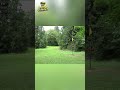 One Shot Changed My Life: Disc Golf's Famous Albatross Story #shorts