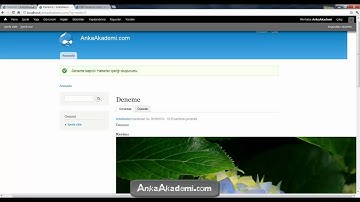 Drupal İçerik Türleri