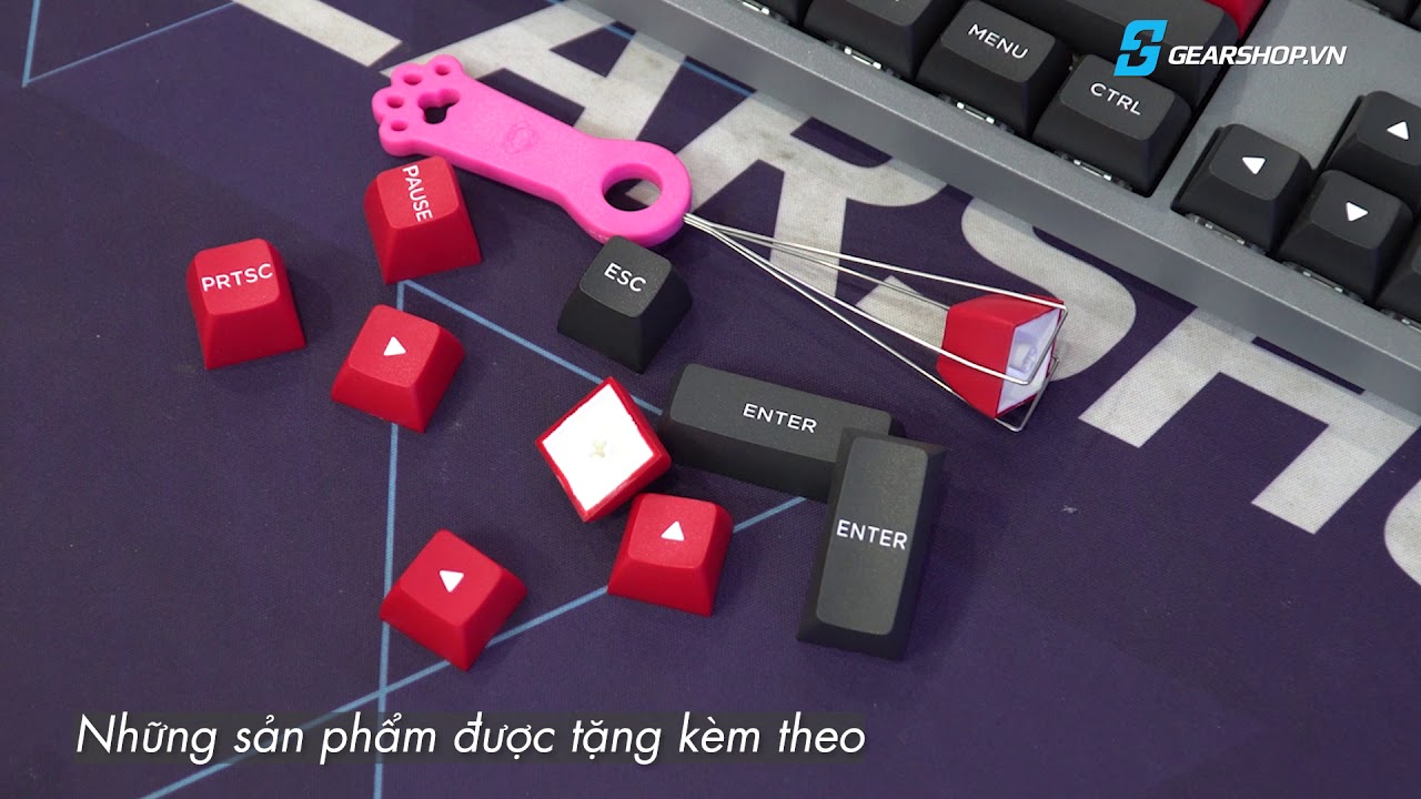 Giới Thiệu Bàn Phím Cơ Akko 3108 V2 OSA - GREY PARROT PSITTACUS [GEARSHOP.VN]