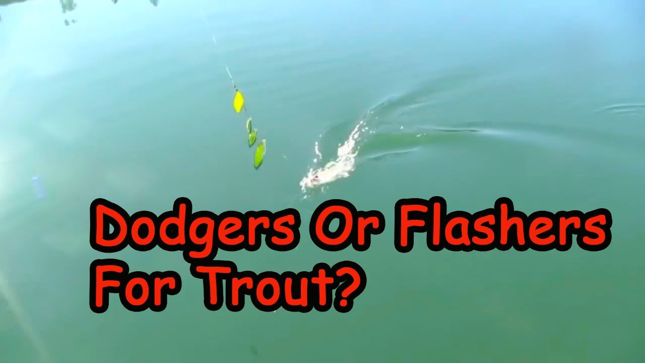 Dodgers Or Flashers For Trout? 