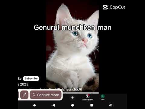 Dont Mess With My Fans 