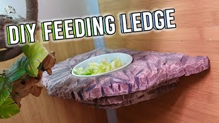 DIY Magnetic Reptile Feeding Ledge | KristenLeannimal
