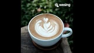 molody cintaku@cokicoki