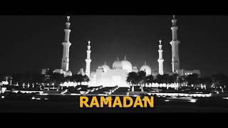 Harmless Soft - Ramadan (Official Demo Video) screenshot 5
