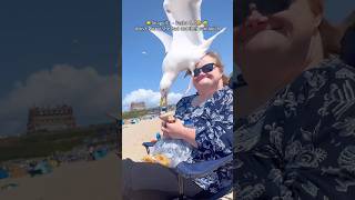 🔥 Seagulls have zero chill 💀🐦#seagulls #seagull #birds #bird #animals #funny