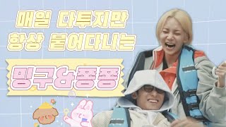 [세븐틴/정한/민규] 매일 다투지만 항상 붙어다니는 밍구와 쫑쫑이