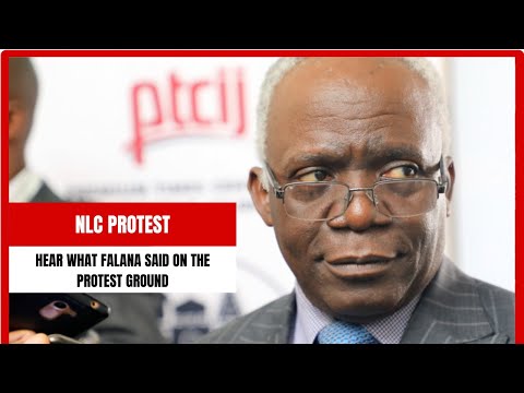 Labour Protest: Hear What Femi Falana Said On The Protest Ground