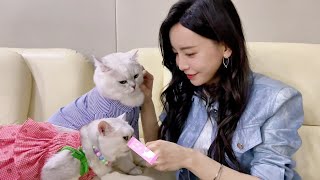 于文文活动｜240421 搜狐视频博主大会 撸🐱花絮 直播全程 Kelly Yu Sohu Event BTS Live Broadcast