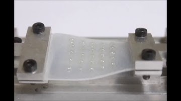 Two-dimensional materials in functional three-dimensional architectures with applications