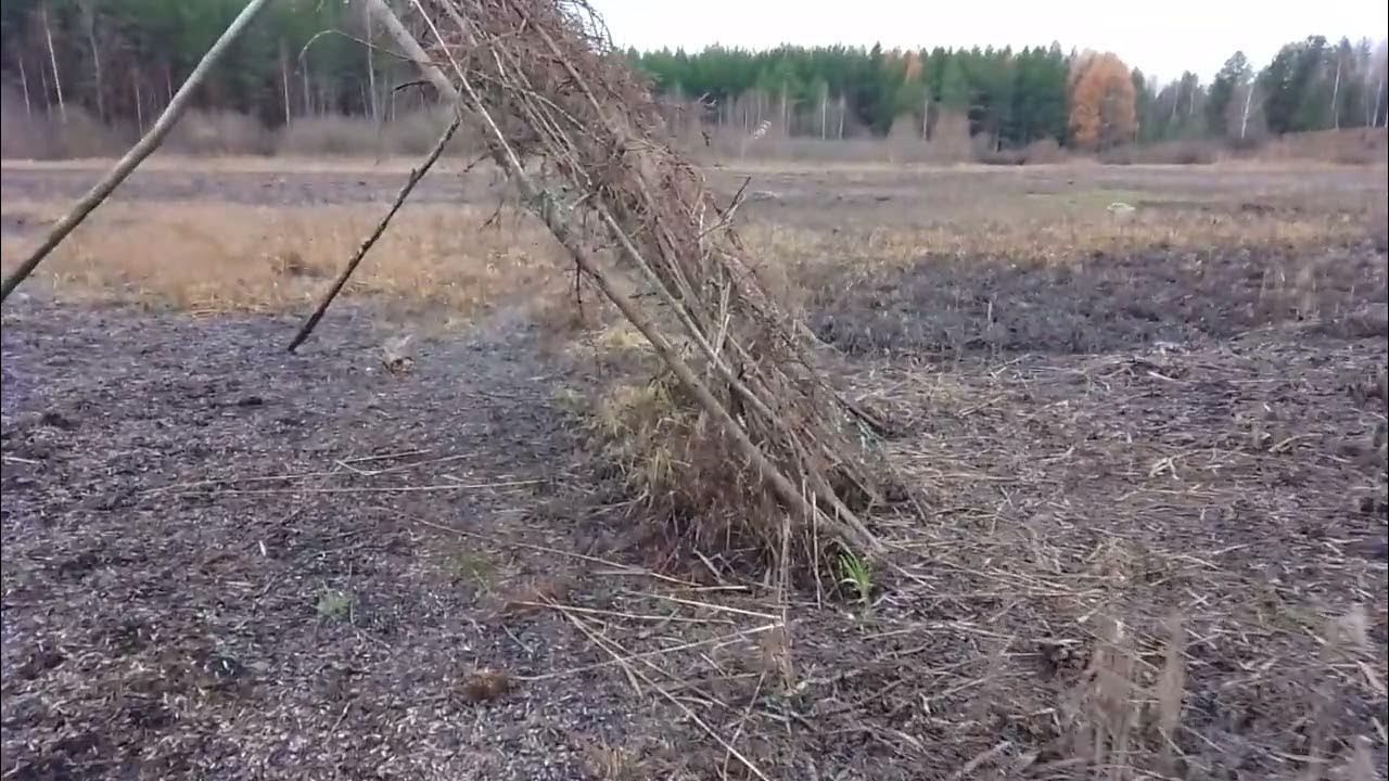 Шалаш зимой на болоте