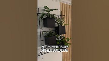 #plants #planter #plantmom #planterbox #iloveplants #plantlover #greenthumb #homedecor