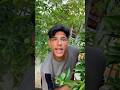 ابني بالحماس ماعندهاش يما ارحميني ابني بالحماس ماعندهاش يما ارحميني