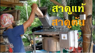 ขั้นตอนการผลิตแป้งสาคูแท้ พัทลุง Sagu local food Thailand