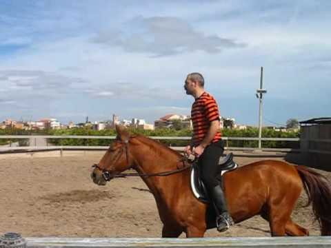 HORSE RIDING - Montando a Rokko Sigfredi