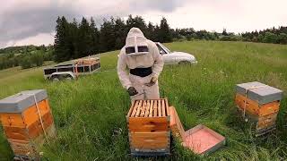Juin 2023. E64 Enfin de bonnes nouvelles, les 8 ruches produisent ! | APICULTURE