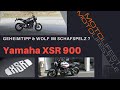 Yamaha XSR 900 - Geheimtipp und Wolf im Schafspelz ?