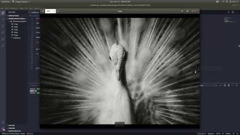 Download Images by Web Crawling using Python3