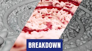 2023 Lubella Di Riso - 3D Blender Animation Commercial - Breakdown