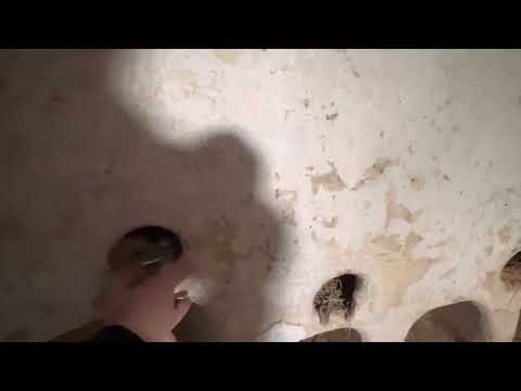 الخابية مكان تخزين الحبوب قديما