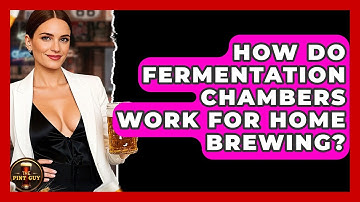How Do Fermentation Chambers Work for Home Brewing? | The Pint Guy