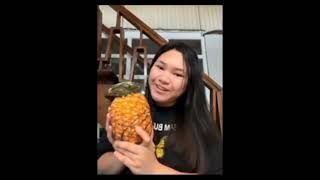 CDO's Eco-Pattern Explorers: Pineapple Fibonacci Spirals